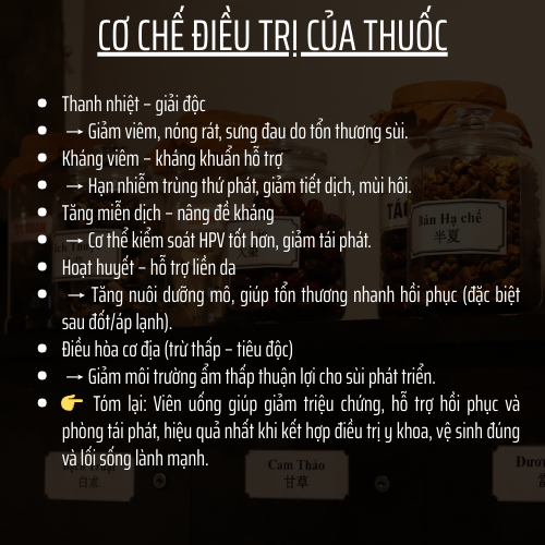 Thảo mộc thiên nhiên - Đông Cát Đường - Hoàn tán sùi mào gà, kháng khuẩn hpv, giảm ngứa, vi.êm, nóng rát - Túi 500 hoàn