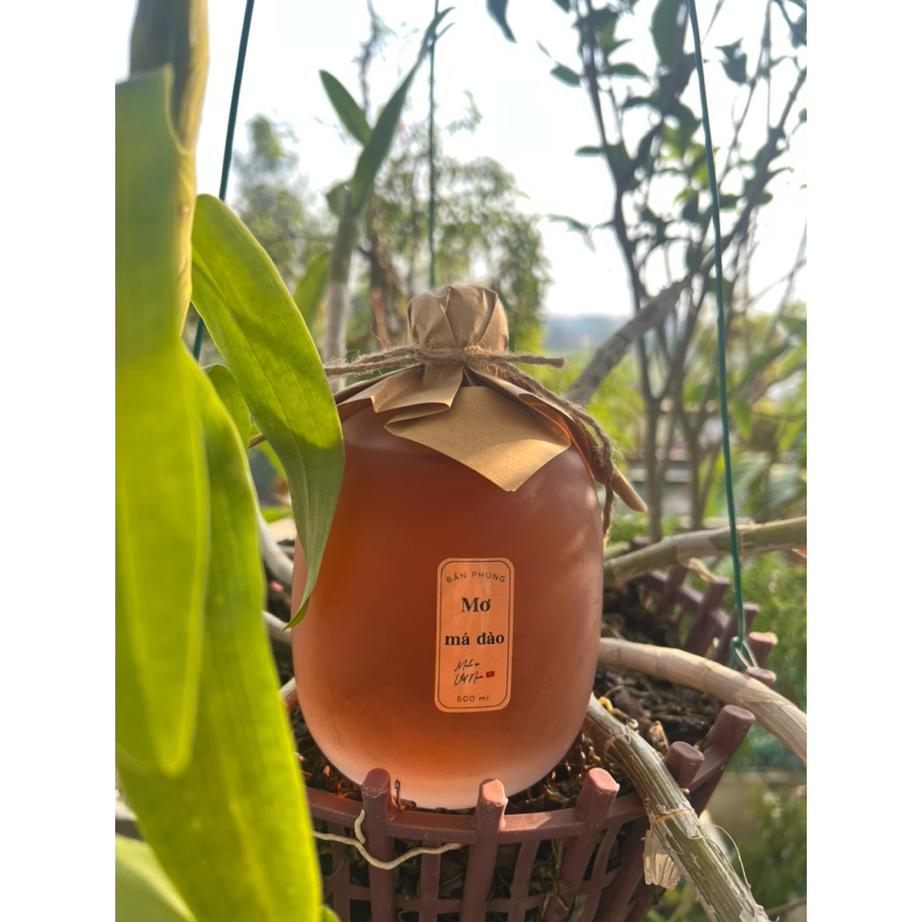Bản Phùngg- Mơ Má Đào Thủ Công Tây Bắc, Ngâm Từ Những Quả Mơ Chín Mọng, Bình Thuỷ Tinh 500ml
