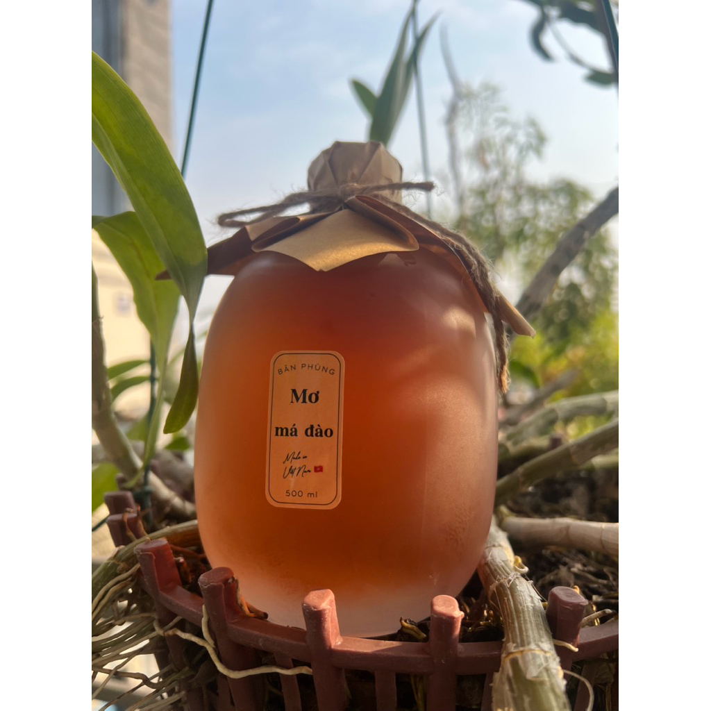 Bản Phùngg- Mơ Má Đào Thủ Công Tây Bắc, Ngâm Từ Những Quả Mơ Chín Mọng, Bình Thuỷ Tinh 500ml