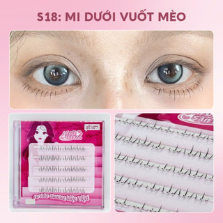 Lông mi giả sẵn keo Lookme Star dễ dàng gắn, có độ cong tự nhiên, mi giả gân trong mềm nhẹ, tái sử dụng được nhiều lần