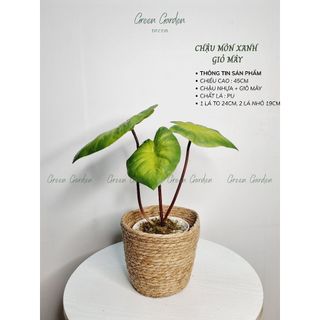 Chậu môn xanh decor để bàn – Cây giả lá PU – Cao 45cm – Phong cách tối giản