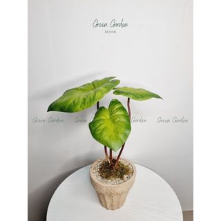 Chậu môn xanh decor để bàn – Cây giả lá PU – Cao 45cm – Phong cách tối giản