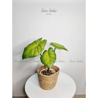 Chậu môn xanh decor để bàn – Cây giả lá PU – Cao 45cm – Phong cách tối giản