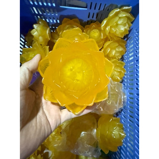 Bông Đèn Nụ Đèn Lưu Ly Sơ Cua Dùng Thay Thế Đèn Thờ