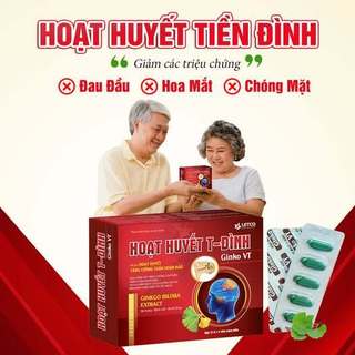 Hoạt huyết T - Đình Ginko VT – Hỗ trợ tăng cường tuần hoàn máu não - Hộp 60 viên