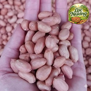 Lạc Quê (đậu phộng) Tây Bắc Bóc Tay/Hand-Peel Northwestern Peanut-Freshly Harvested