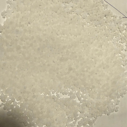 Phân bón Haifa Magie Nitrat (MgNo3) Lá Xanh Tốt, Dày lá, đâm chồi ra rễ cực mạnh, chống hiện tượng xoắn rụng lá