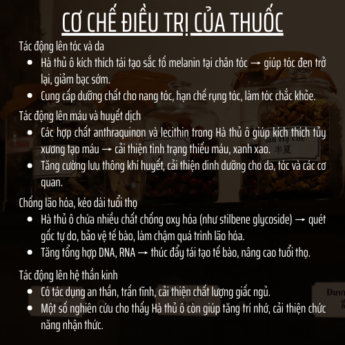 Đông Cát Đường - Hà thủ ô nguyên chất dạng Hoàn - Được chế từ hà thủ ô thiên nhiên cửu chưng cửu sái - Túi 500v