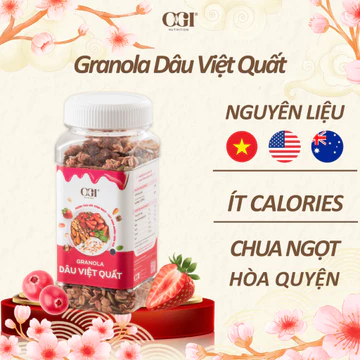 Granola Siêu Hạt Dâu Việt Quất – Vị Chua Ngọt Tự Nhiên – Ngũ Cốc Ăn Sáng, Ăn Kiêng & Ăn Vặt Lành Mạnh – OGI Nutrition