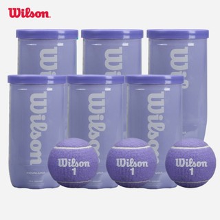 Wilson Aqualuna Tball 2 Ball Can Set 12 Bóng Tennis (6 Lon) WR8216701001