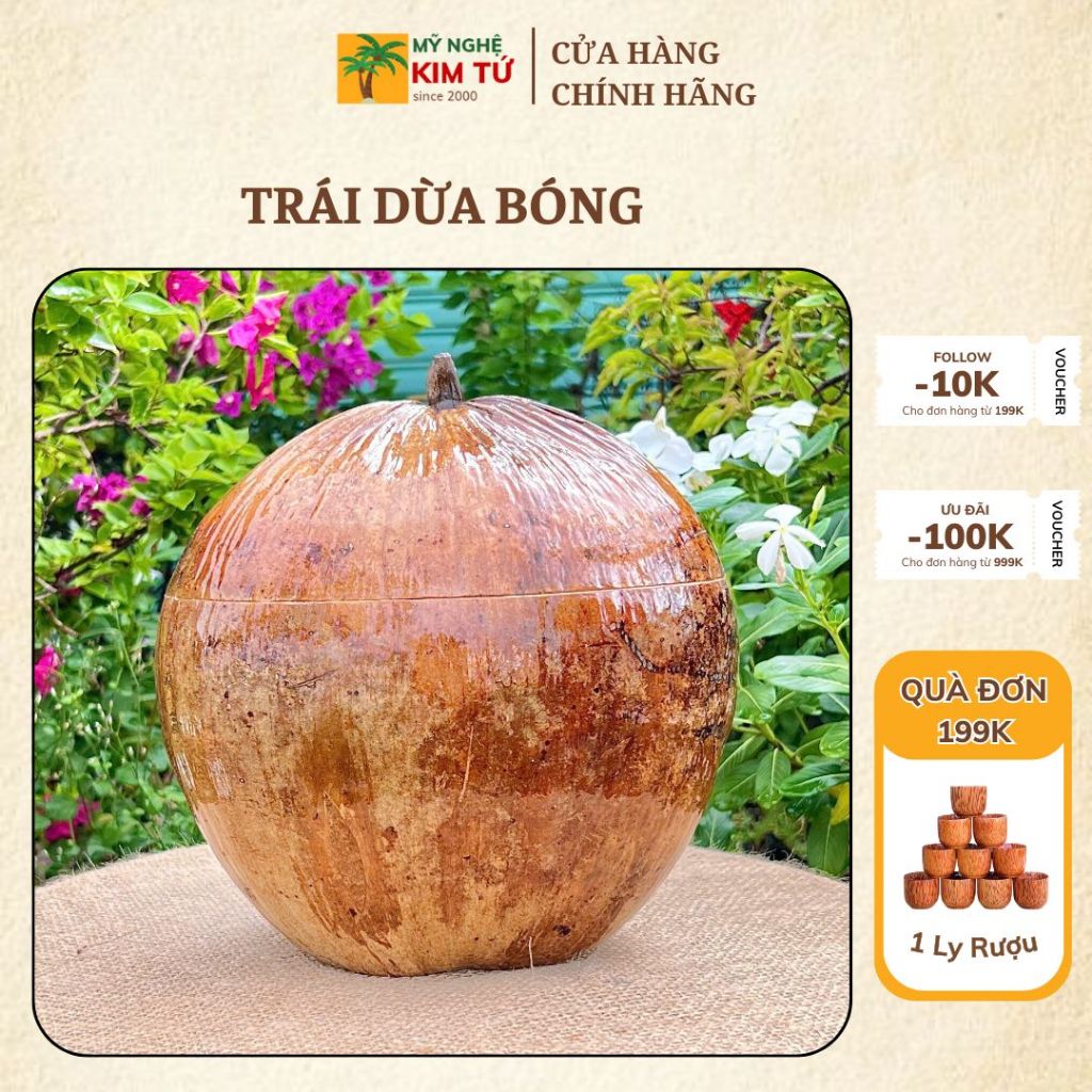 [ SIZE 800ML - 1000ML ] Bình Ủ Ấm Trà TRÁI DỪA BÓNG Giữ Nhiệt Cao Cấp, Quả Dừa Thô Bóng, Phù Hợp Trang Trí Bàn Trà