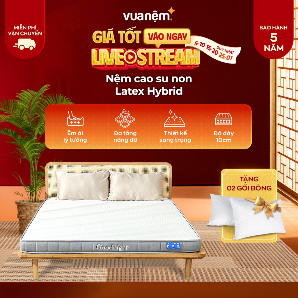 (15.1 Tặng đôi gối bông) Nệm cao su non Goodnight Latex Hybrid, foam kết hợp cao su cứng vừa, phù hợp người đau