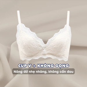 Áo Ngực Nữ Phối Ren Đệm Mỏng Cao Cấp, Áo Lót Nữ Không Gọng Tạo Khe Quyến Rũ AMYBRA A2004