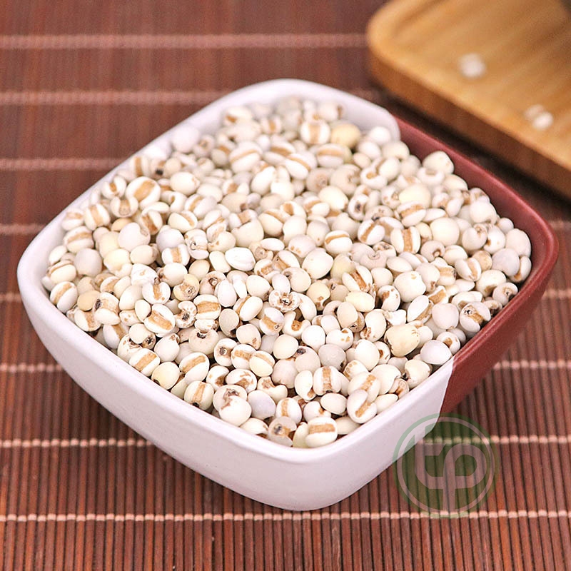 Hạt ý dĩ nguyên chất - Hàng sạch thơm cao cấp - Thảo Dược Tấn Phát