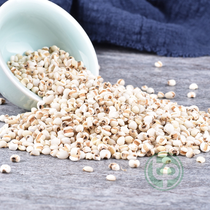 Hạt ý dĩ nguyên chất - Hàng sạch thơm cao cấp - Thảo Dược Tấn Phát