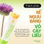 Kem ngừa mụn Yoosun acnes làm sạch bã nhờn góp phần ngừa mụn - Tuýp 15g