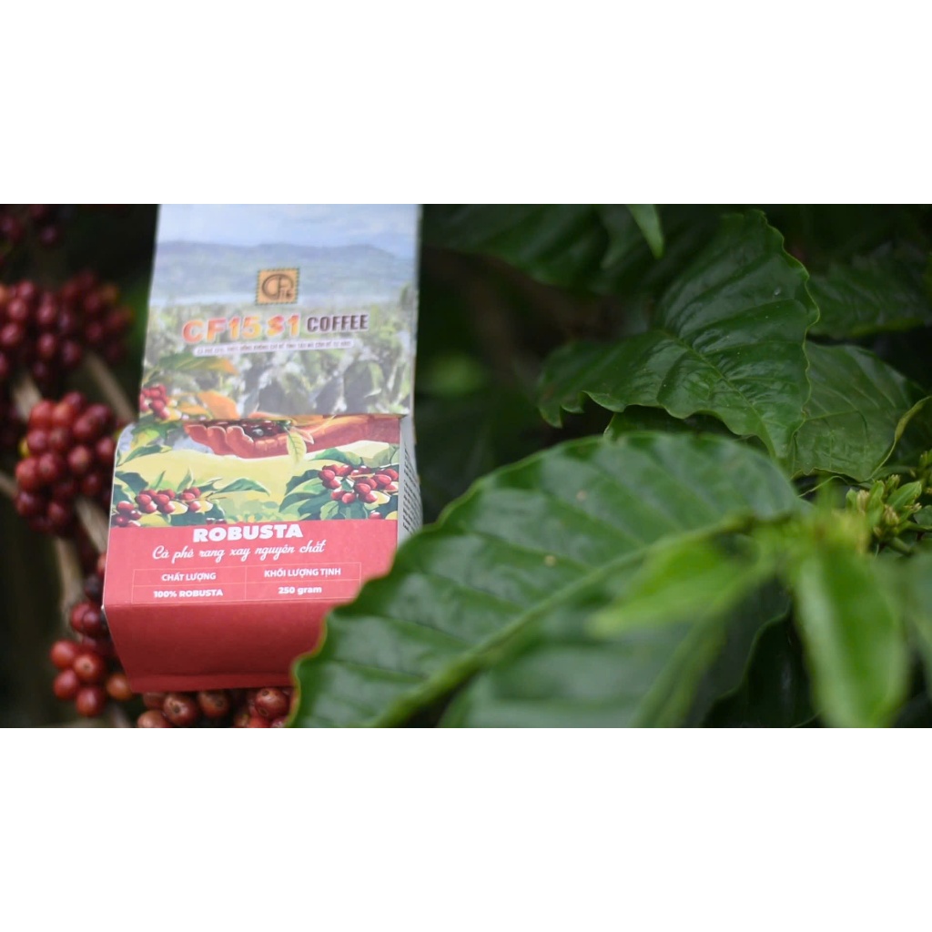 Cà Phê CF15 S1 250gram Rang Xay Nguyên Chất  – Robusta Đậm Đà | Cà Phê Người Lính