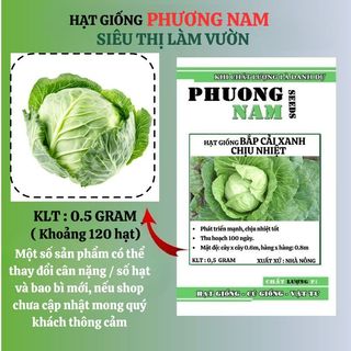 0.5 Gram - Hạt Giống Bắp Cải Xanh Phương Nam