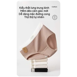 Quần lót cotton gân tăm 5A / Q 6032- Quần lót nữ thấm hút mồ hôi thoáng mát BC_CHIC
