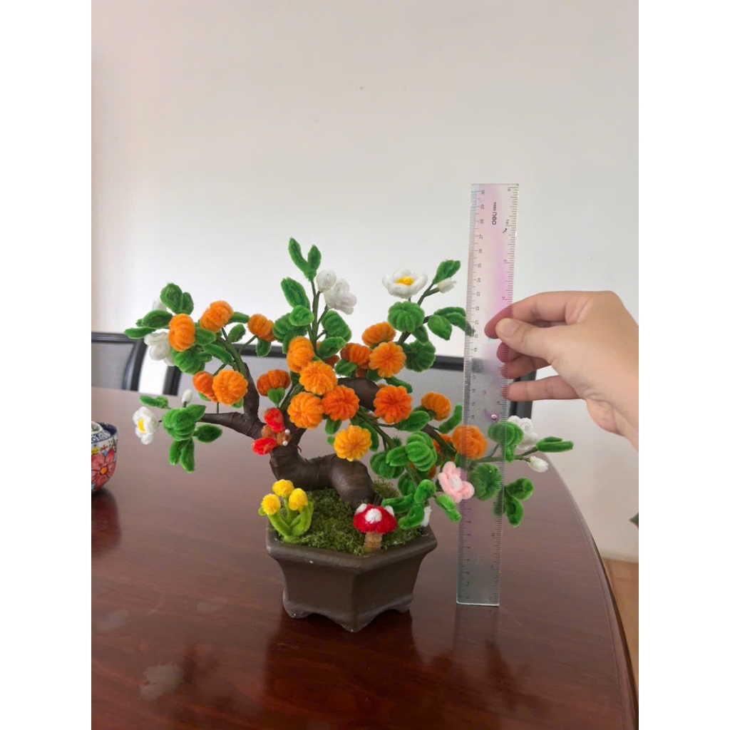 Chậu hạnh lục giác để bàn - trang trí tết (tặng chậu nhựa)
