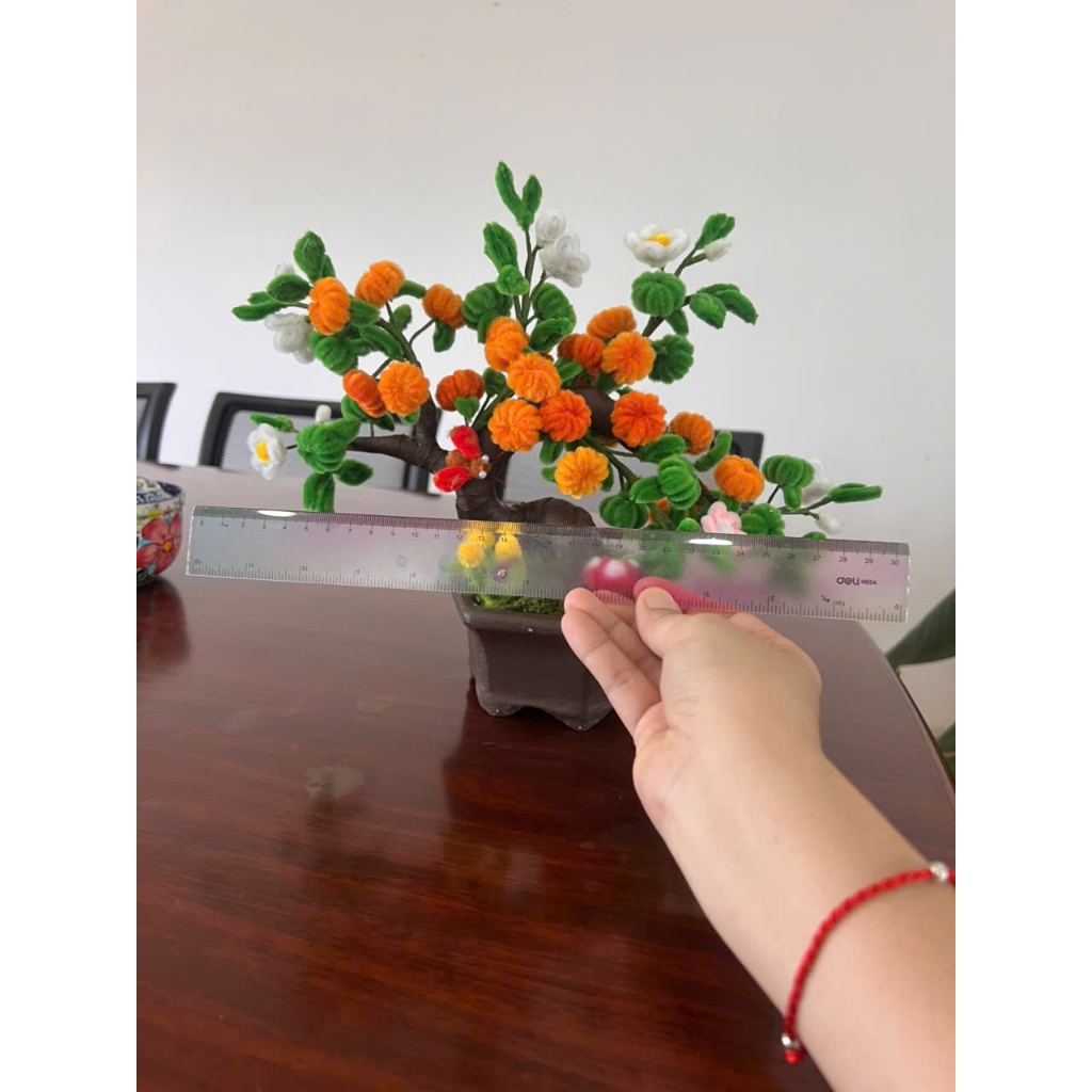 Chậu hạnh lục giác để bàn - trang trí tết (tặng chậu nhựa)