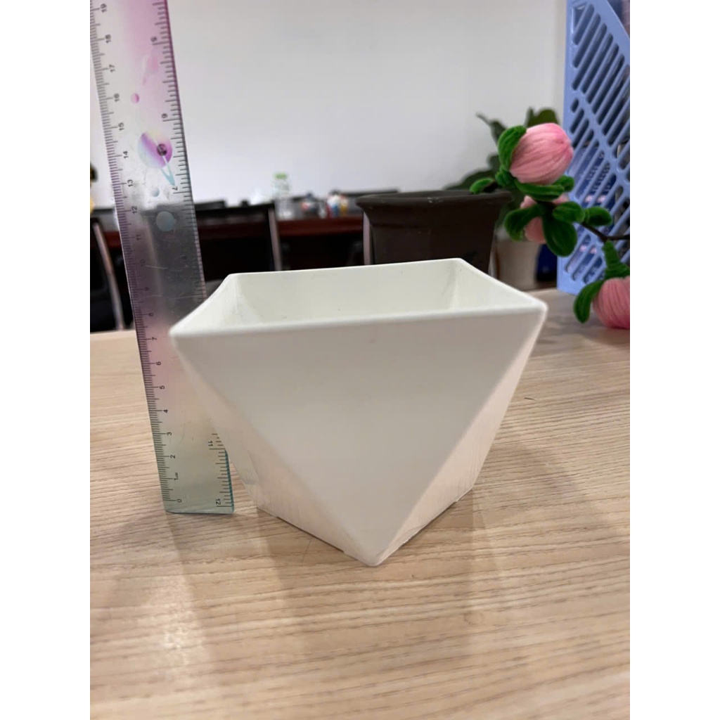 Chậu hạnh lục giác để bàn - trang trí tết (tặng chậu nhựa)