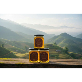 MẬT ONG HOA RỪNG TỰ NHIÊN HŨ 350ML