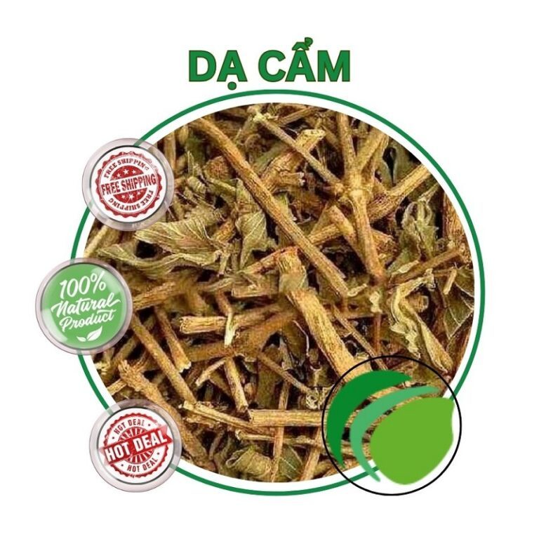 [HOT] Cây dạ cẩm sấy khô - Hàng sạch thơm cao cấp - Thảo Dược Tấn Phát