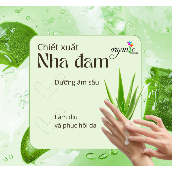 CHIẾT XUẤT NHA ĐAM (ALOE VERA EXTRACT) – ANH QUỐC