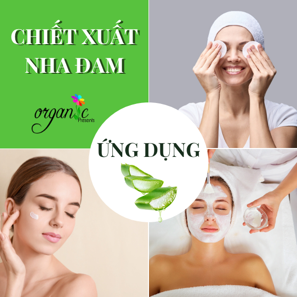 CHIẾT XUẤT NHA ĐAM (ALOE VERA EXTRACT) – ANH QUỐC
