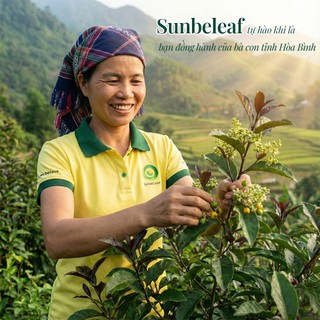 [CHÍNH GỐC] Trà Xạ Đen Hòa Bình Sunbeleaf - Phòng Ngừa Ung Thư Và Hỗ Trợ Điều Trị Xơ Gan - Túi Zip 25 Đến 50 Gói