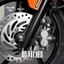 Bộ 2 pát, bát heo cho xe Honda, Yamaha Inox 304 cho nhiều dòng xe