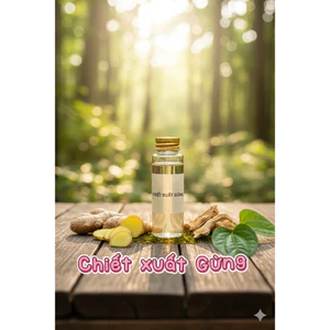 CHIẾT XUẤT GỪNG (GINGER EXTRACT) - Hàn Quốc