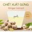 CHIẾT XUẤT GỪNG (GINGER EXTRACT) - Hàn Quốc