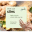CHIẾT XUẤT GỪNG (GINGER EXTRACT) - Hàn Quốc