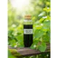 CHIẾT XUẤT DIẾP CÁ - FISH MINT EXTRACT – HÀNG VIỆT NAM