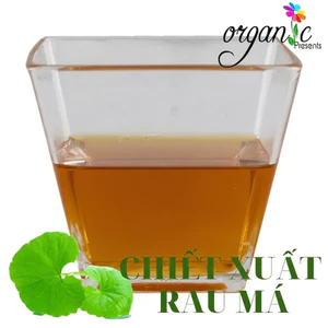 CHIẾT XUẤT RAU MÁ (VIỆT NAM) - Centella asiatica extract