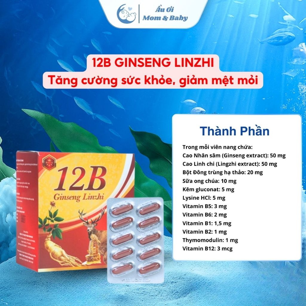 [CHÍNH HÃNG] Viên uống 12B Ginseng Linzhi Giúp Bổ Sung Sức Khỏe, Tăng Cường Sức Đề Kháng - Hộp 100 viên