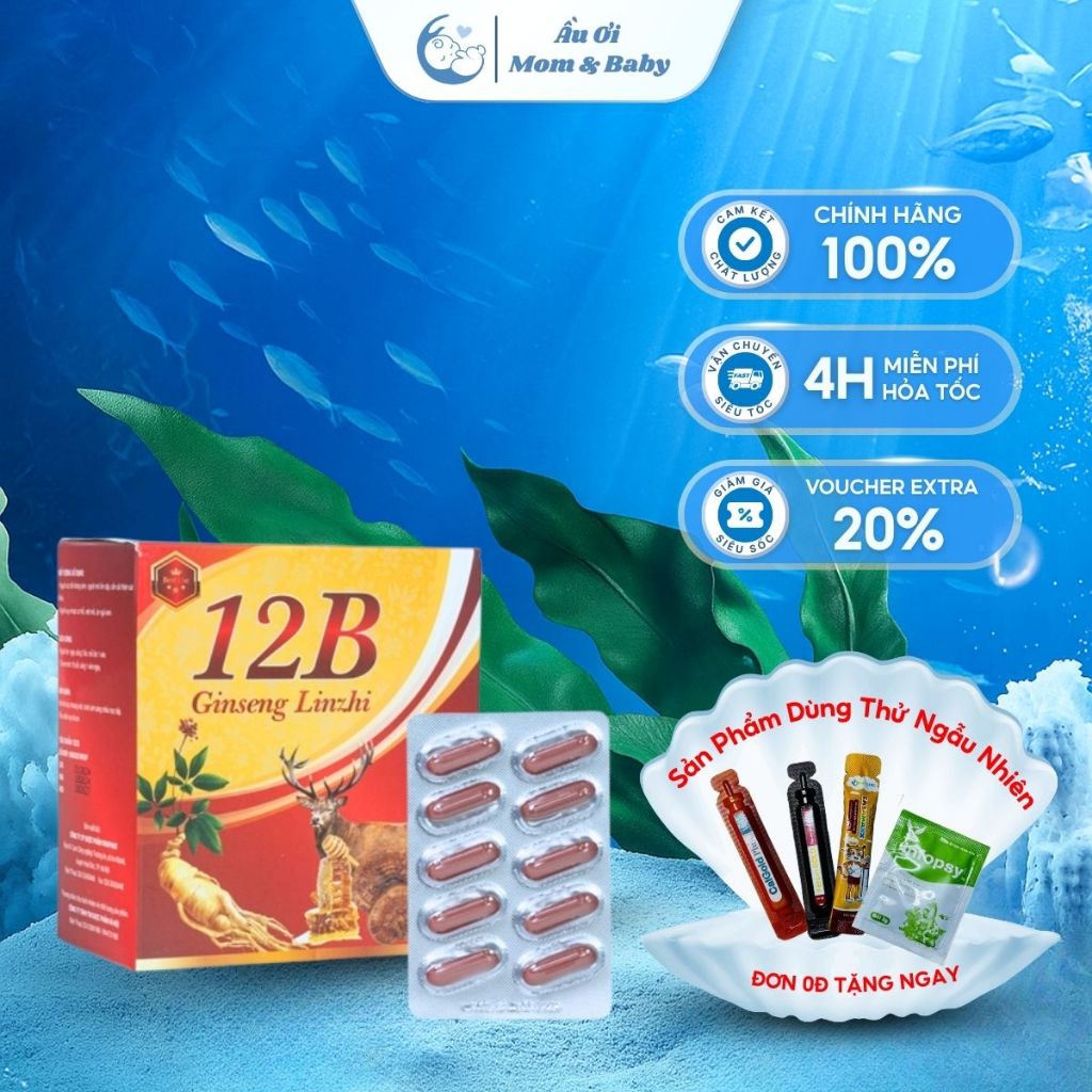 [CHÍNH HÃNG] Viên uống 12B Ginseng Linzhi Giúp Bổ Sung Sức Khỏe, Tăng Cường Sức Đề Kháng - Hộp 100 viên