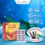 Viên uống 12B Ginseng Linzhi Giúp Bổ Sung Sức Khỏe, Tăng Cường Sức Đề Kháng - Hộp 100 viên