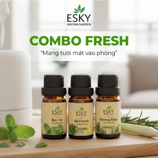 [TẶNG ĐÁ KHUẾCH TÁN] Combo FRESH Tinh Dầu Nguyên Chất ESKY Aroma Garden Thông Mũi,Làm Mát,Tỉnh Táo,Đuổi Muỗi 10ml x 3