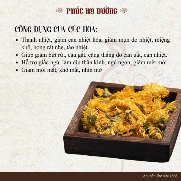 Cúc hoa nguyên bông dùng pha trà dưỡng nhan, thanh nhiệt, đẹp da
