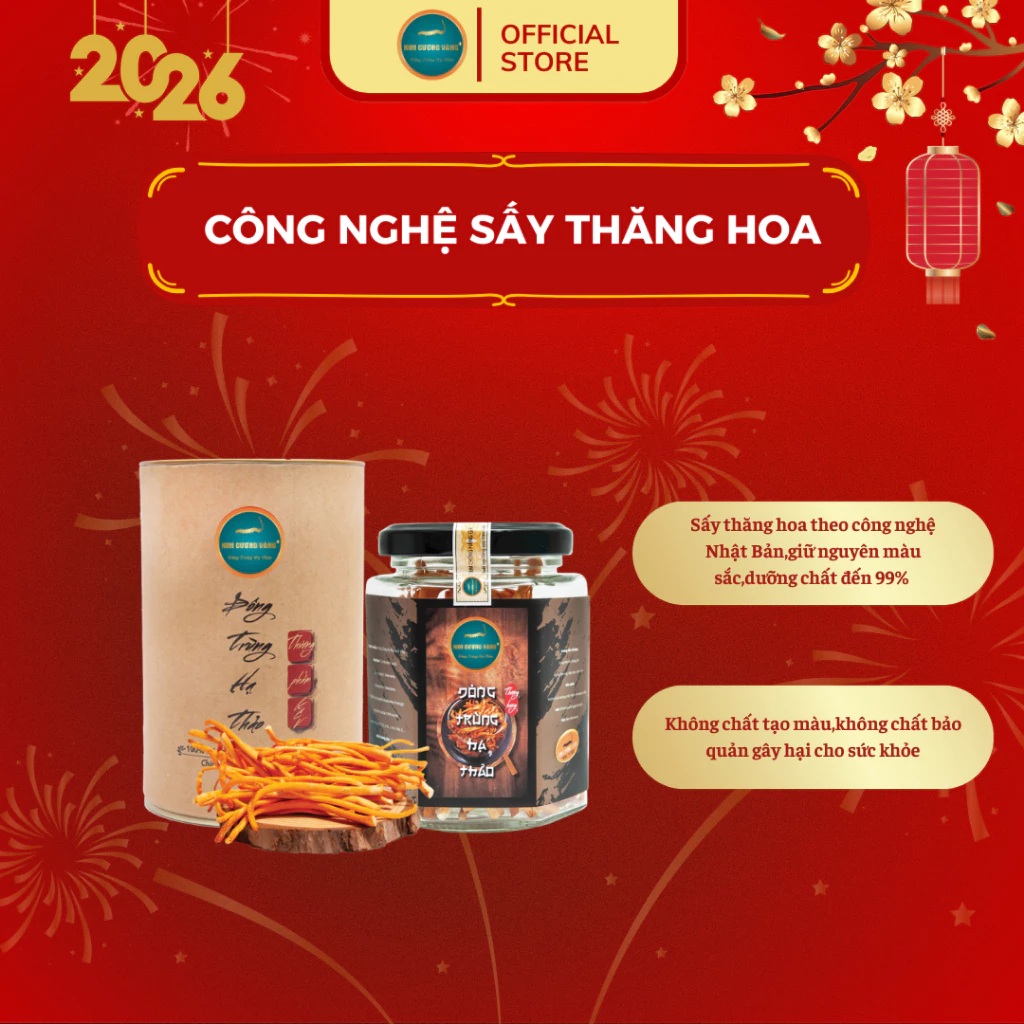Đông Trùng Hạ Thảo