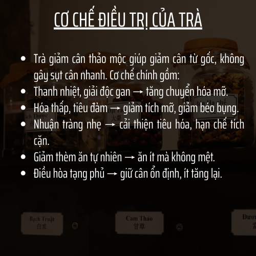 Trà Tiêu mỡ - Đông Cát Đường - Detox thải mỡ bụng, đùi giúp nhẹ người, thải độc gan - Túi 50 lọc