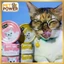 Pate Kitcat Goat Milk 70g Cho Mèo – Sữa Dê Dinh Dưỡng