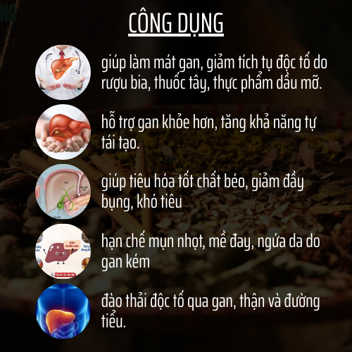 Trà Thải độc Gan - Đông Cát Đường - Thanh Nhiệt Giảm Mụn, làm mát giải độc và phục hồi chứng năng gan - Túi 50 lọc