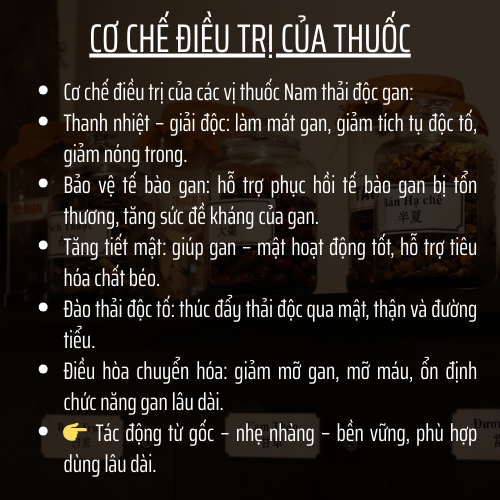 Trà Thải độc Gan - Đông Cát Đường - Thanh Nhiệt Giảm Mụn, làm mát giải độc và phục hồi chứng năng gan - Túi 50 lọc