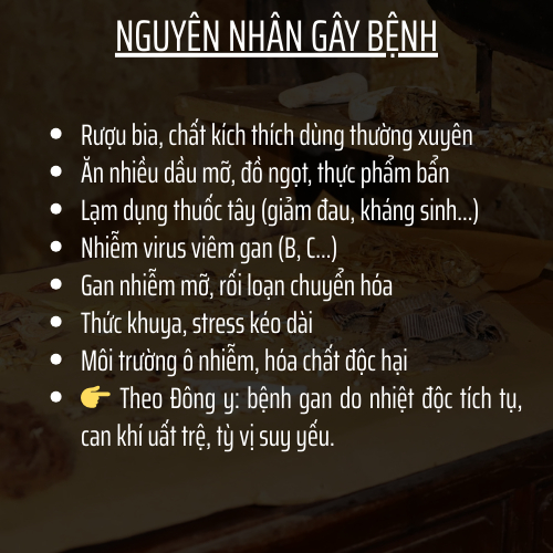Trà Thải độc Gan - Đông Cát Đường - Thanh Nhiệt Giảm Mụn, làm mát giải độc và phục hồi chứng năng gan - Túi 50 lọc