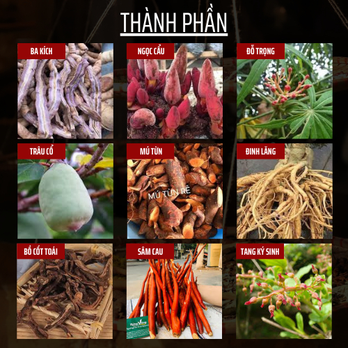 TRA BO THAN DUONG - ĐÔNG CÁT - TANG CUONG SINH LY, LIET DUONG, XUAT TINH SOM,XUONG KHOP - TÚI 50 LỌC