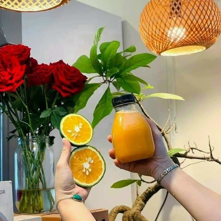 Chai Hũ Thủy Tinh Đựng Nước Ép Trái Cây – Loại Dày, Bền Đẹp